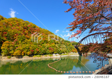 Autumn leaves of Okunohana Valley in Nagano 28046187