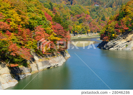 Autumn leaves of Okunohana Valley in Nagano Autumn leaves of Okunohana Valley in Nagano 28046286