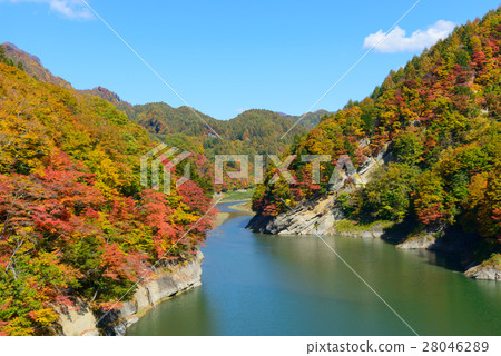 Autumn leaves of Okunohana Valley in Nagano 28046289