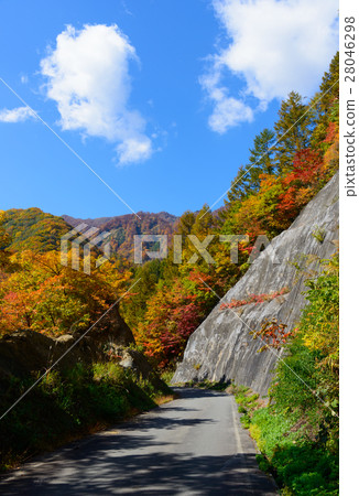長野奧克花娜谷的秋葉 長野奧克花娜谷的秋葉 28046298