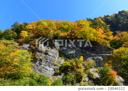 Autumn leaves of Okunohana Valley in Nagano 28046312