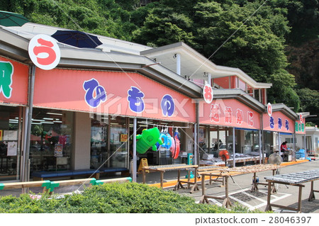 越前路站（福井縣） 28046397