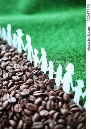 Coffee beans cutting hands People who hold hands Green copy space Vertical position Coffee beans cutting hands People who hold hands Green copy space Vertical position 28047866