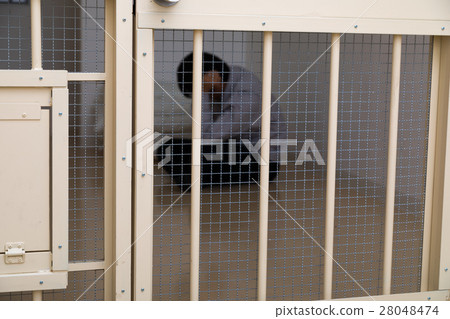 監獄,拘留所,犯罪,逮捕,舉行,監獄,監獄,拘留,罪魁禍首,監獄,欺詐,抓住了,警察,男性,日語 監獄,拘留所,犯罪,逮捕,舉行,監獄,監獄,拘留,罪魁禍首,監獄,欺詐,抓住了,警察,男性,日語 28048474