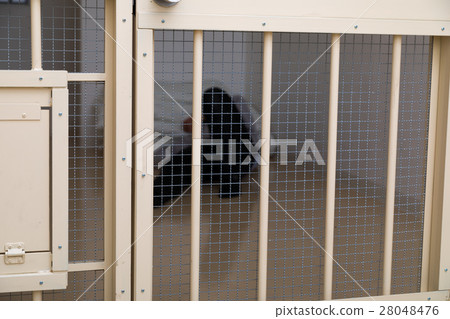 Prison, detention house, crime, arrest, hold, prison, prison, detention, culprit, prison, fraud, caught, police, male, Japanese Prison, detention house, crime, arrest, hold, prison, prison, detention, culprit, prison, fraud, caught, police, male, Japanese 28048476