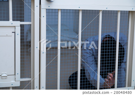 Prison, detention house, crime, arrest, hold, prison, prison, detention, culprit, prison, fraud, caught, police, male, Japanese 28048480