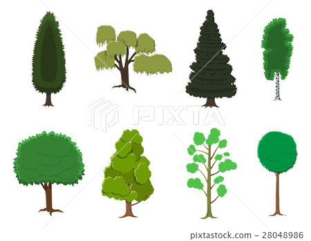 Set of various stylized trees in flat style 28048986