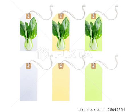Collection of Price Tag with Vegetable photo. Collection of Price Tag with Vegetable photo. 28049264