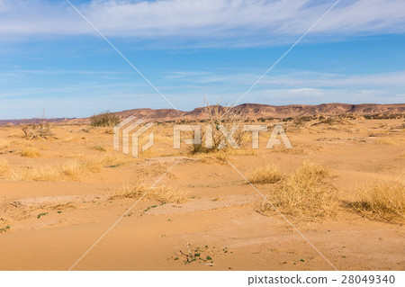Sahara desert, Morocco Sahara desert, Morocco 28049340