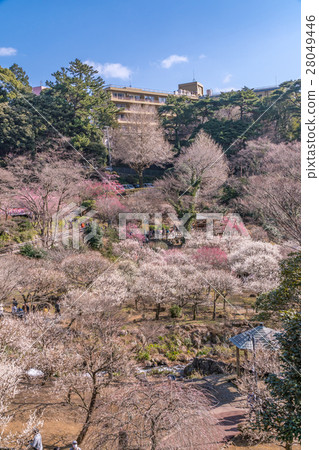 Atami Meiken 2016年1月 28049446