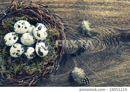 Birds eggs in nest over wooden background vintage 28051219