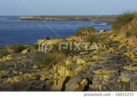 Coast of Bleaker Island Coast of Bleaker Island 28052253