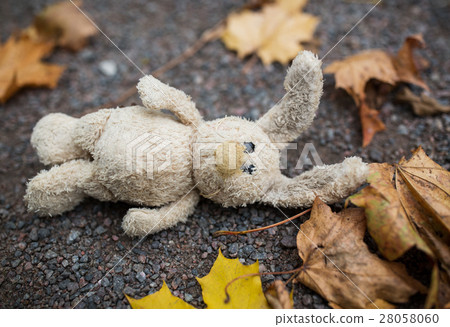 toy rabbit and autumn leaves on road or ground toy rabbit and autumn leaves on road or ground 28058060