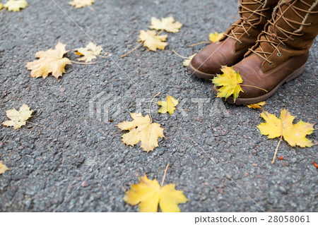 female feet in boots and autumn leaves female feet in boots and autumn leaves 28058061
