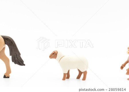 Year (sheep) 28059814