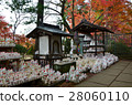 Lucky Cat in Setagaya Ward Futto Temple (2016.11) 28060110