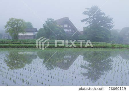 Gifu Shirakawago _ When planting rice Gifu Shirakawago _ When planting rice 28060119