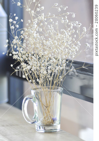 gypsophila flower in blur background gypsophila flower in blur background 28060239