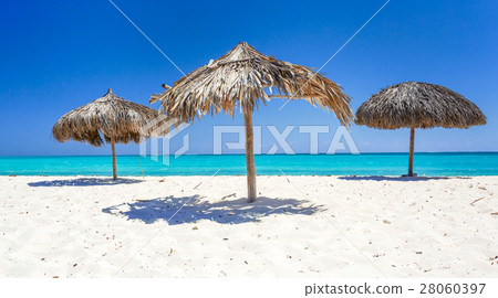 Exotic beach in Cayo Largo. Cuba 28060397