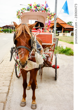 圖庫照片: horse carriage cabin