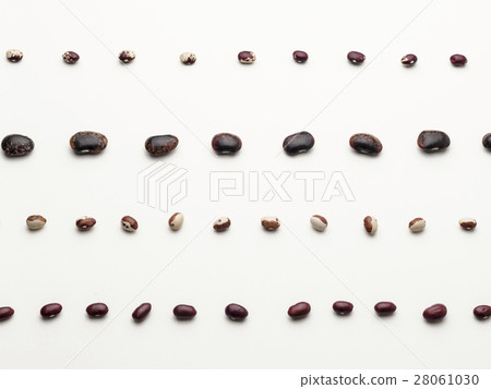 A row of raw beans 28061030