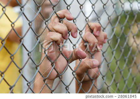 The hand holding steel mesh 28061845