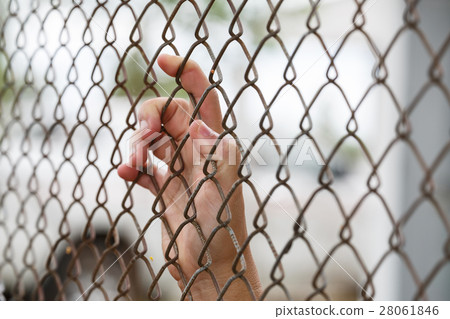 The hand holding steel mesh 28061846