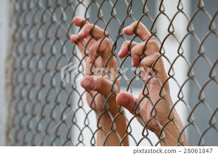 The hand holding steel mesh The hand holding steel mesh 28061847