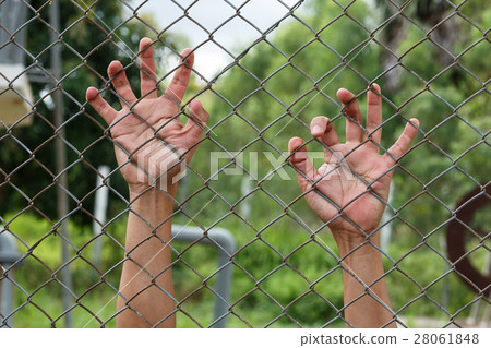 The hand holding steel mesh 28061848