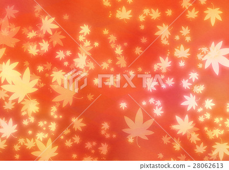 Maple texture background material Maple texture background material 28062613