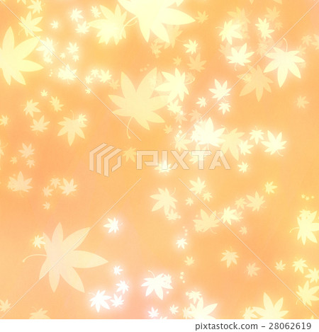 Maple texture background material Maple texture background material 28062619