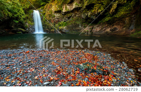 Tollet Fall @ Isahaya，長崎縣 28062719