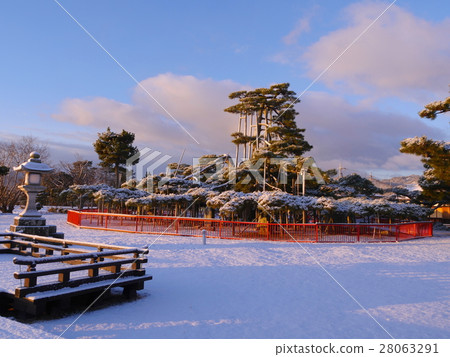 在多雪的夏天雪場面的Karasaki的杉樹 28063291