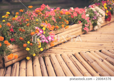 Beautiful flower garden and bamboo path 28064376