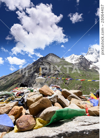 lotus blossoms or water lily flowers blooming 28064407