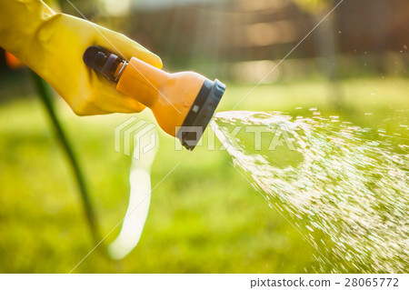 Hand with garden hose watering plants 28065772