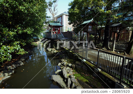 Fukagawa Tomioka Hachimangu Shrine Susa Shoto Shrine·Awashima Shrine(深圳八幡)東京江東區Tomioka Fukagawa Tomioka Hachimangu Shrine Susa Shoto Shrine·Awashima Shrine(深圳八幡)東京江東區Tomioka 28065920