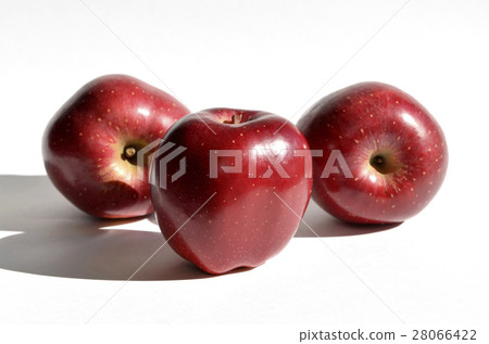 Apple (fresh) 28066422