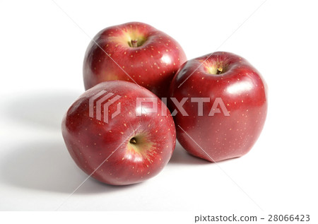 Apple (fresh) 28066423