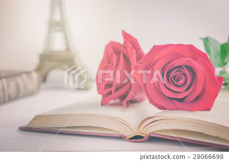 Red rose at opened old book with vintage tone Red rose at opened old book with vintage tone 28066698