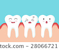 Teeth icon character with red gum 28066721