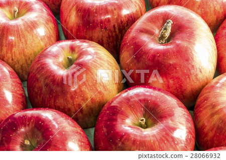 Apple Jonah金牌 28066932