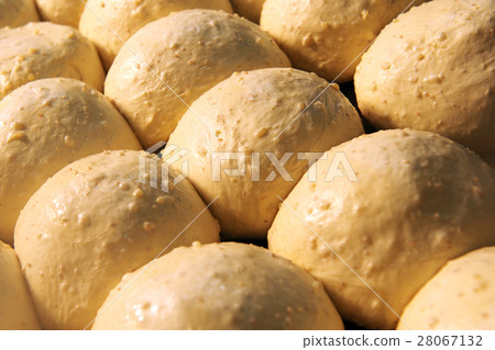Lots of dough waiting to go into the oven Lots of dough waiting to go into the oven 28067132