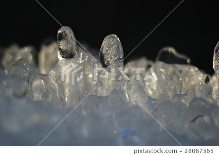 Cute ice 09 28067365