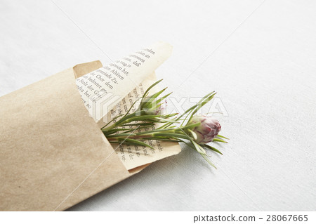 給信封的一封信 給信封的一封信 28067665