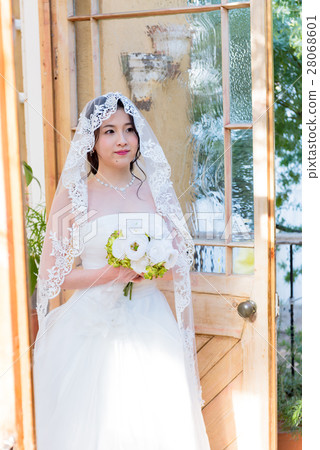 Wedding image, veil, wedding dress 28068601