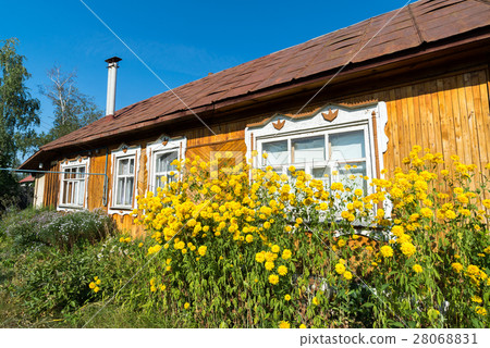 Yellow flowers in front of village house 28068831