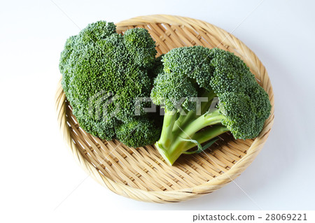 broccoli broccoli 28069221