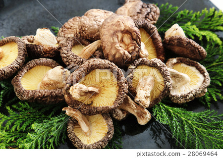 Dried shiitake mushrooms Dried shiitake mushrooms 28069464