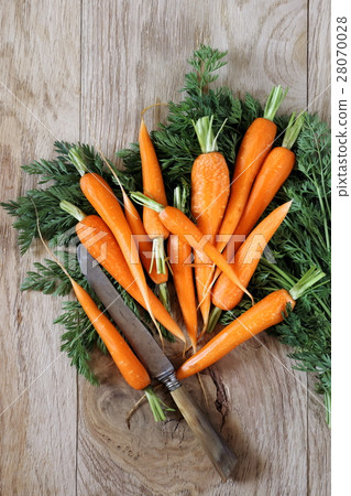 Fresh peeled carrots on green tops Fresh peeled carrots on green tops 28070028